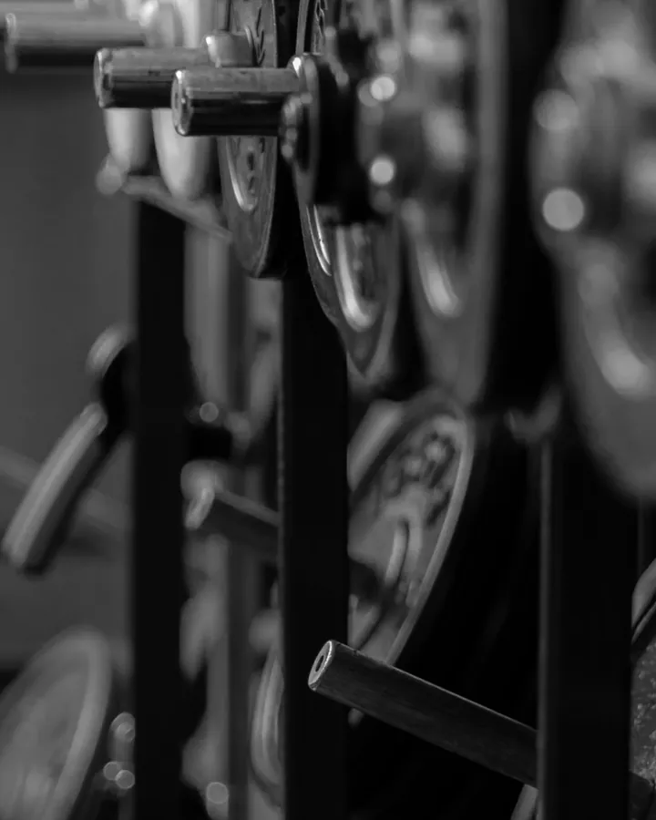 Weight plates stacked on a plate rack.