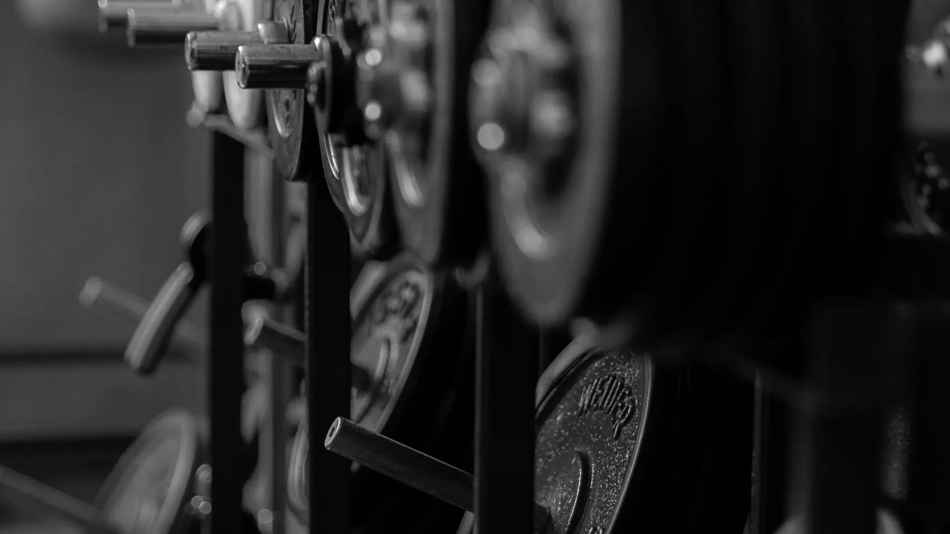 Weight plates stacked on a plate rack.